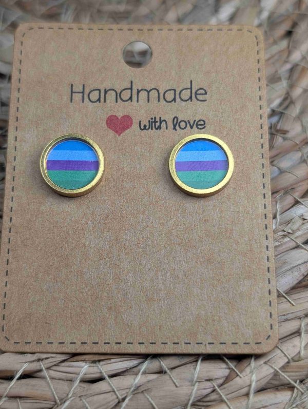 Salmacian Flag Stud Earrings - Handmade - 12mm Resin Earrings - LGBTQ+ Gold colour
